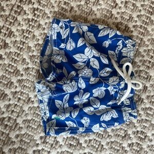Ralph Lauren Green and Blue Floral Swim Shorts